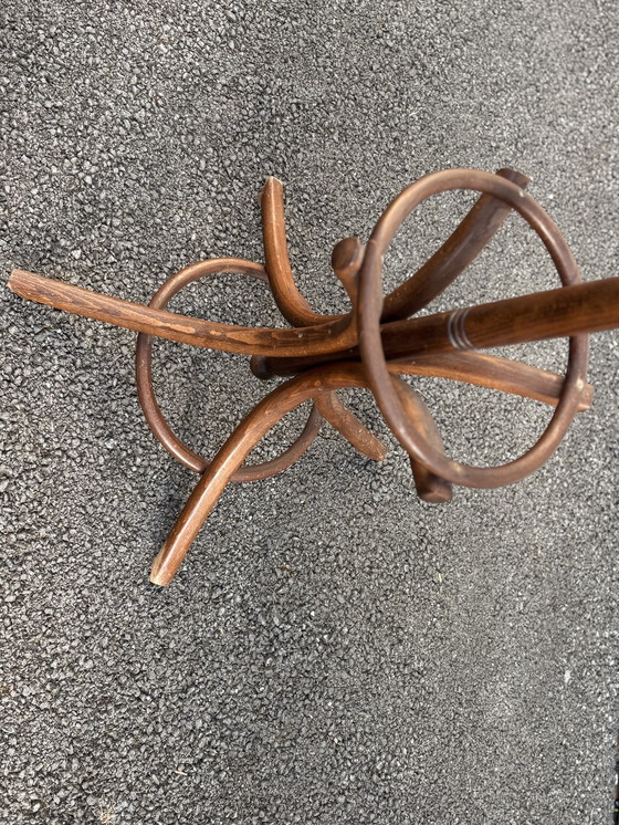 Image 1 of Garderobe Papagei