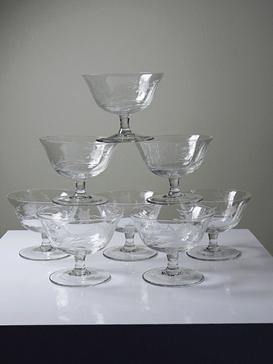 Image 1 of 8 Champagne coupes, wheel-engraved glass with vegetal decoration, Bohemia, early 20th century