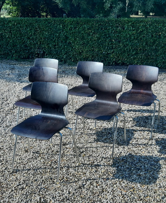 Image 1 of Set Flötotto Pagholz eetkamerstoelen   palisander 