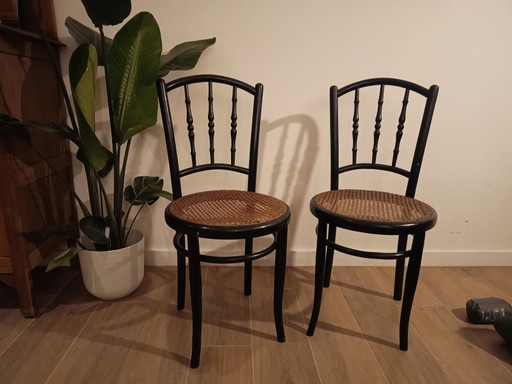 2 sedie Jacob &amp; Joseph Kohn