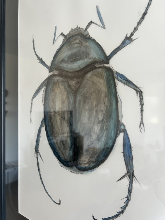 Image 1 of Originele "Macro-entomologie"-studies van Natalia Molinska (2021)

