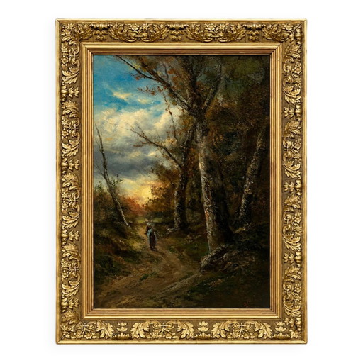 Alte Waldlandschaft in einer wunderschönen Umgebung.