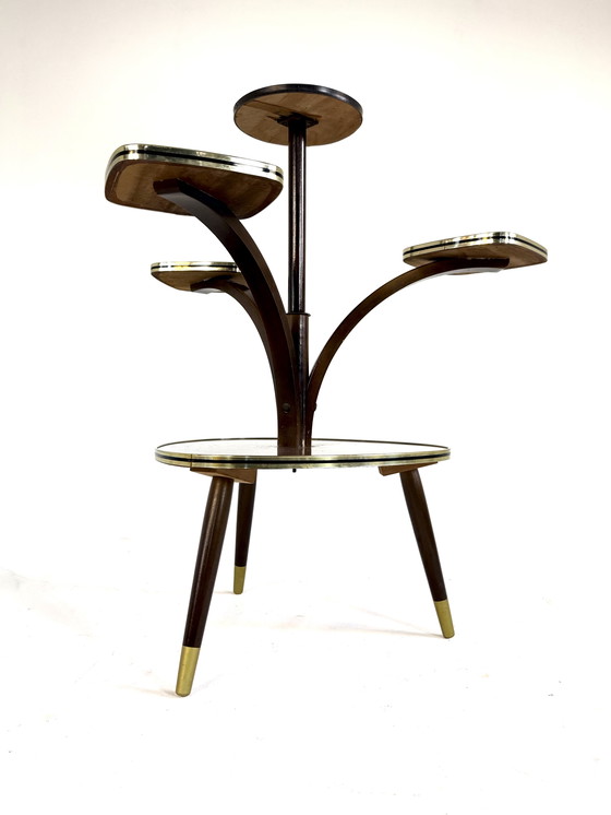 Image 1 of Vintage plant table '60