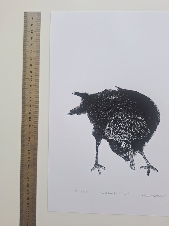 Linocut bird / 'Kauwtje' – M. Jasperse, Art, Paper (photo 6 of 7)