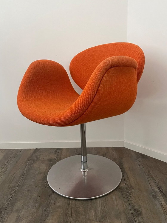 Image 1 of Artifort Little Tulip F163 Swivel Armchair
