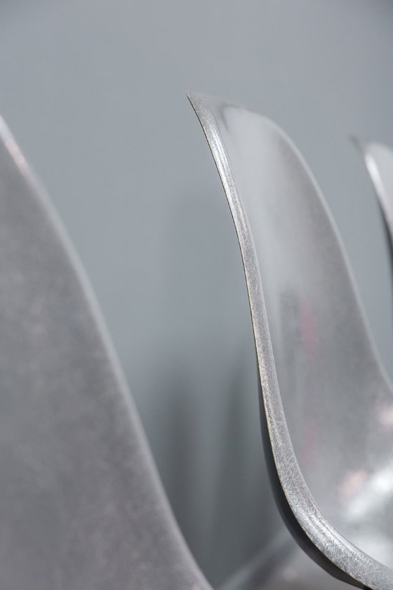 Image 1 of Sedie Eames DSW Elephant in fibra di vetro grigia, 6x