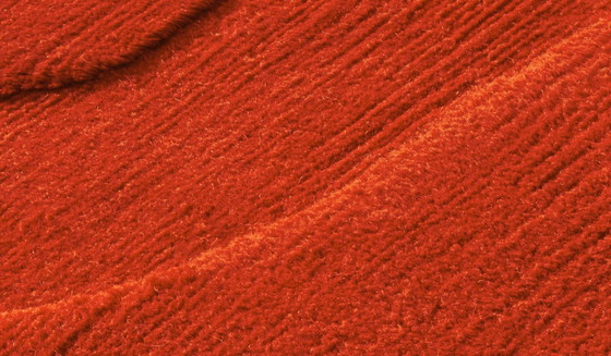 Image 1 of Veritè Cassina Charlotte Perriand tapijt, vloerkleed 300x240cm