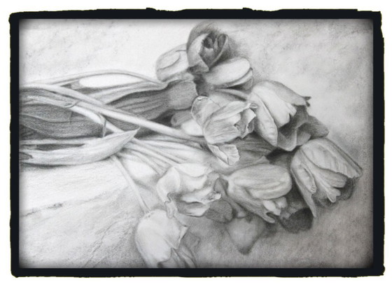 Image 1 of Charcoal drawing of tulips on paper. Tulip painting. Tulip drawing. Flower drawing. Flower painting. Signed.