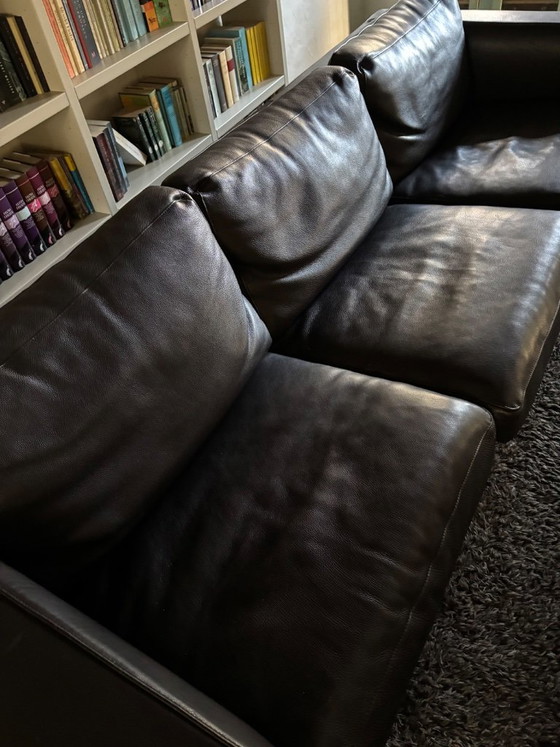 Leder 3-Sitzer Sofa, dunkelbraun, Molinari, 3-5 Sitzer Sofas, Metall, Modern (Foto 2 von 5)