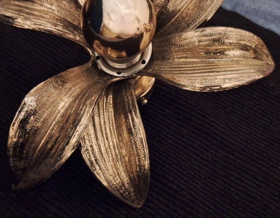 Image 1 of Coppia di lampade da parete o da soffitto in ottone massiccio dalla forma organica, anni '70