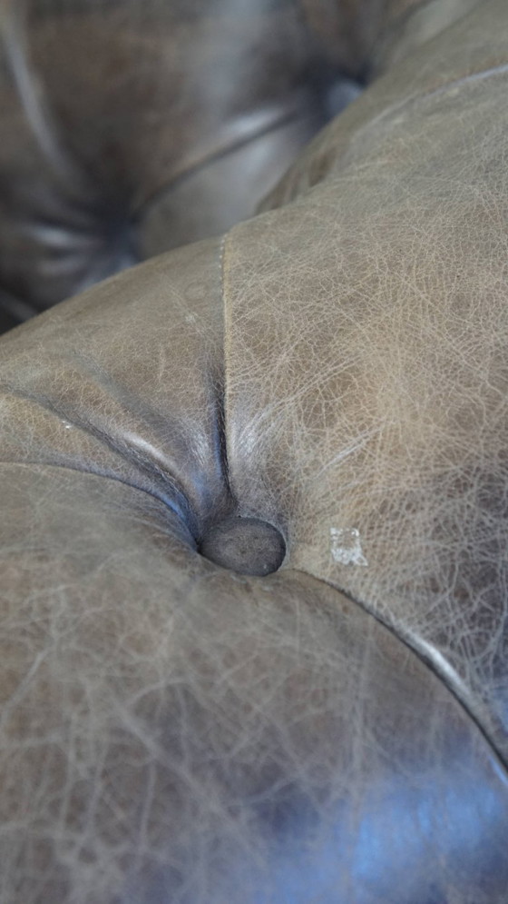 Image 1 of Grijze rundleren chesterfield clubfauteuil in Engelse stijl op wieltjes