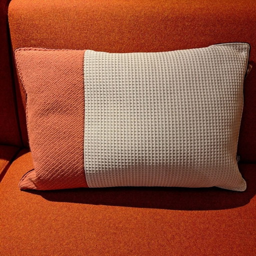 Design on Stock blush 61 pink cushions
