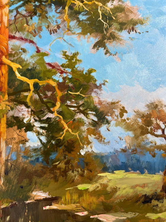 Image 1 of Original Oil Painting Day Forest Landscape Whisper of forest and water
