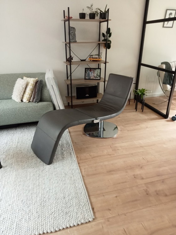 Image 1 of Libellule Bonaldo