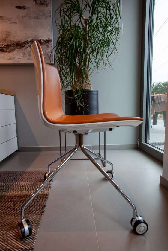 Image 1 of Set di 2 sedie Arper Catifa