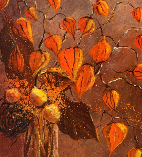 Image 1 of Physialis