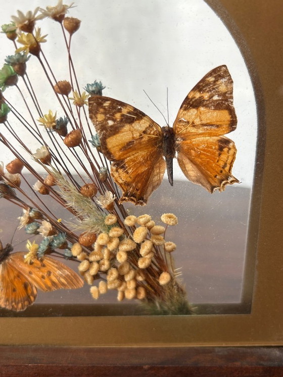 Image 1 of cornice a farfalla