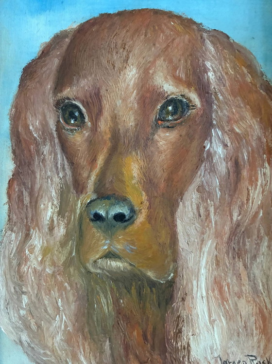Vintage original dog portrait oil paintings set – Paintings & Drawings, Wood, Canvas (photo 14 of 21)