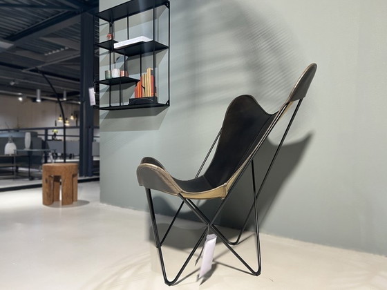 Image 1 of Papillon nero