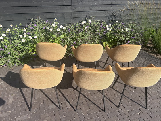 Image 1 of Eetkamerstoelen Montel type Lopez 6 stuks