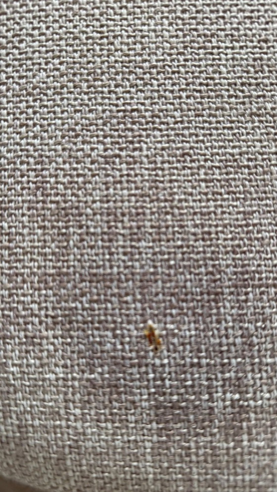 Image 1 of 4 x Louis van Teeffelen Milaan stoelen 