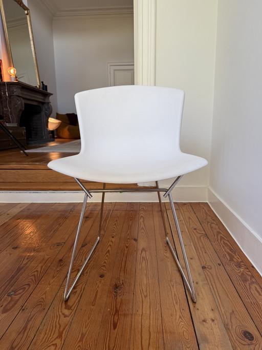 6 Sillas laterales Knoll Bertoia con estructura moldeada