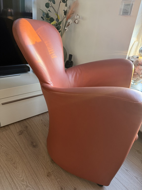 Image 1 of Leolux Amphora Ledersessel.