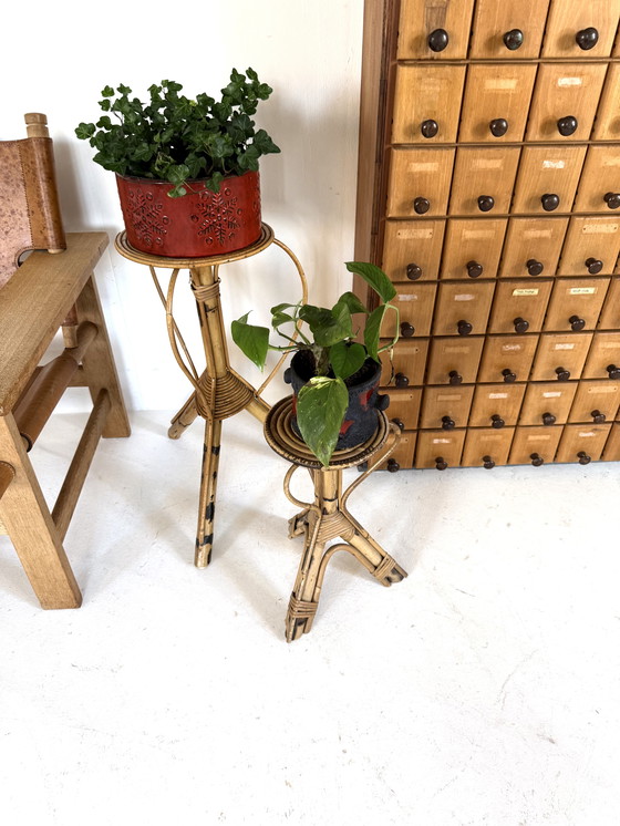 Image 1 of 2x vintage rotan plantenstandaard, Rohé Noordwolde ‘60