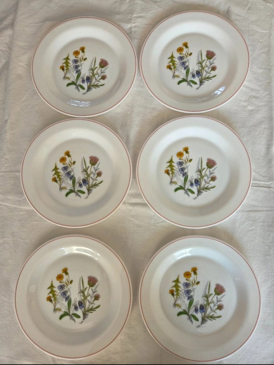 12-Piece Plates (6 + 6), Opal Glass/Milk Glass – Arcopal France, Crockery, Porcelain (photo 8 of 9)