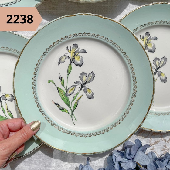 Piatto piano vintage in maiolica floreale, venduto singolarmente – Stoviglie, Retro (photo 12 of 20)