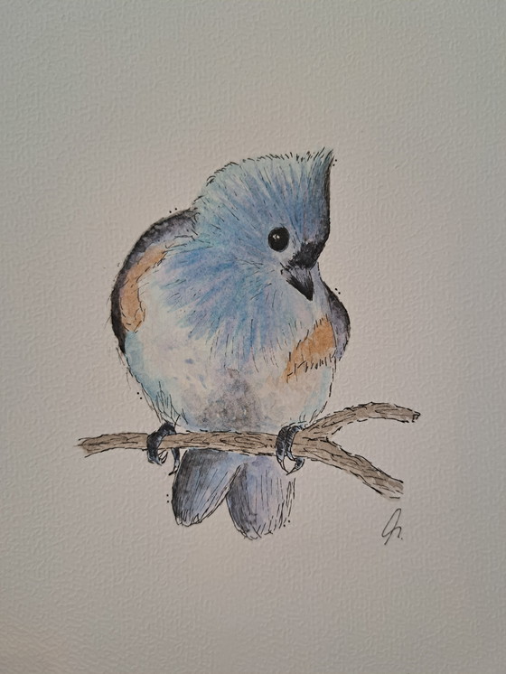 Image 1 of Watercolor painting of a two-colored titmouse