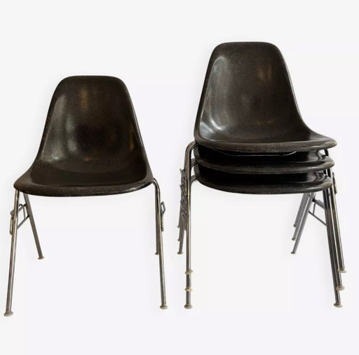 Ensemble de 4 chaises DSS Charles et Rey Eames pour Herman Miller 1950