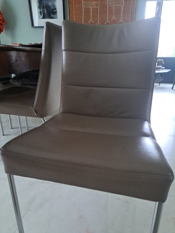 Image 1 of 6 sedie da pranzo in pelle di Bert Plantagie