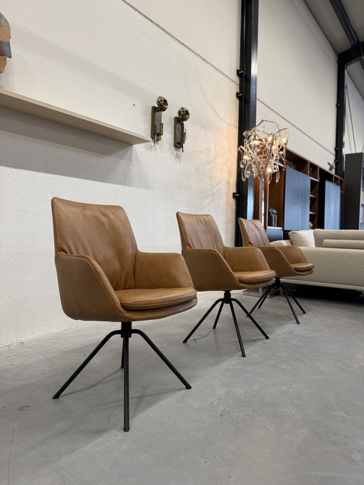 6 Il futuro Rhode Turn sedie da pranzo in pelle marrone