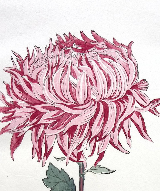 Keika Hasegawa - "One Hundred Chrysanthemums" – Paintings & Drawings, Paper (photo 4 of 8)