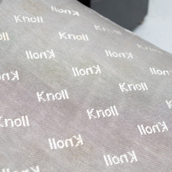 Image 1 of Cini Boeri Brigadier Two-seater sofa Knoll 70's