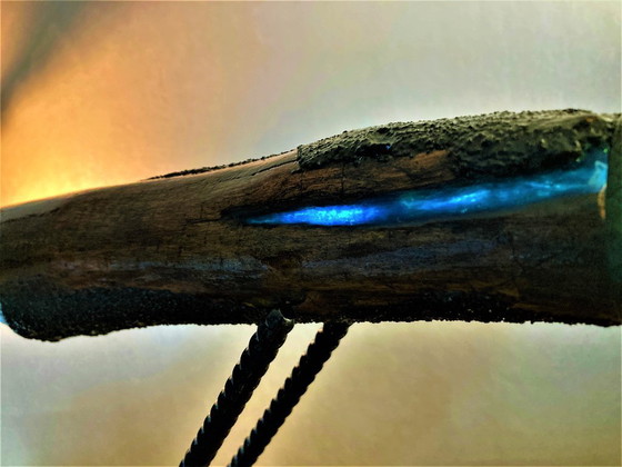 Image 1 of Artikel 202300