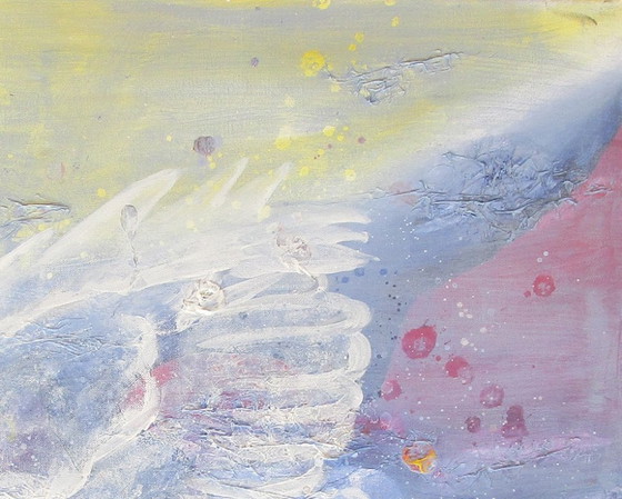 Image 1 of Pintura de un hermoso cisne misterioso - Erica Muizer