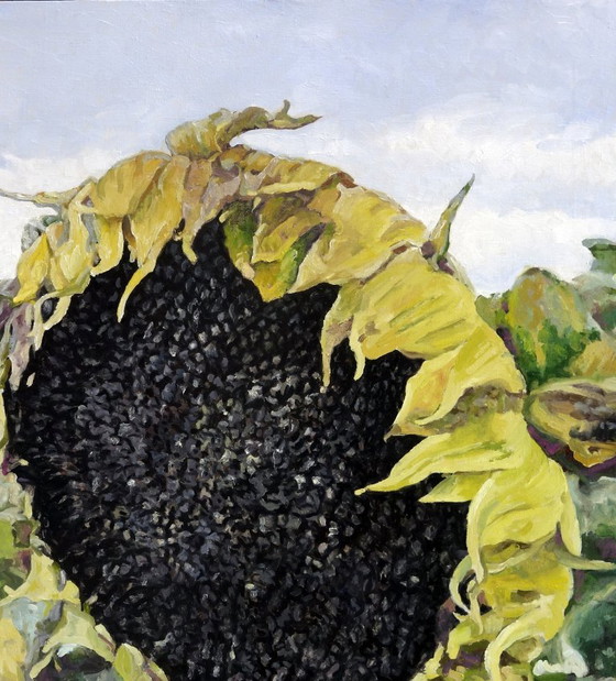 Pittura a Olio Originale Arte Contemporanea Simbolismo Semi di Girasole Per il Futuro Raccolto (photo 5 of 7)