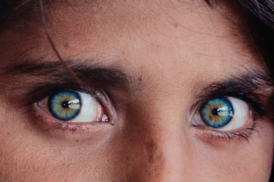 Image 1 of Steve McCurry - Fotógrafo/Periodista | póster