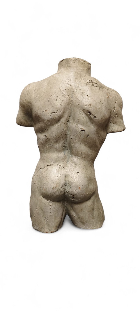 Image 1 of Frammento di scultura vintage in terracotta raffigurante un torso maschile, decorazione d'arte classica.