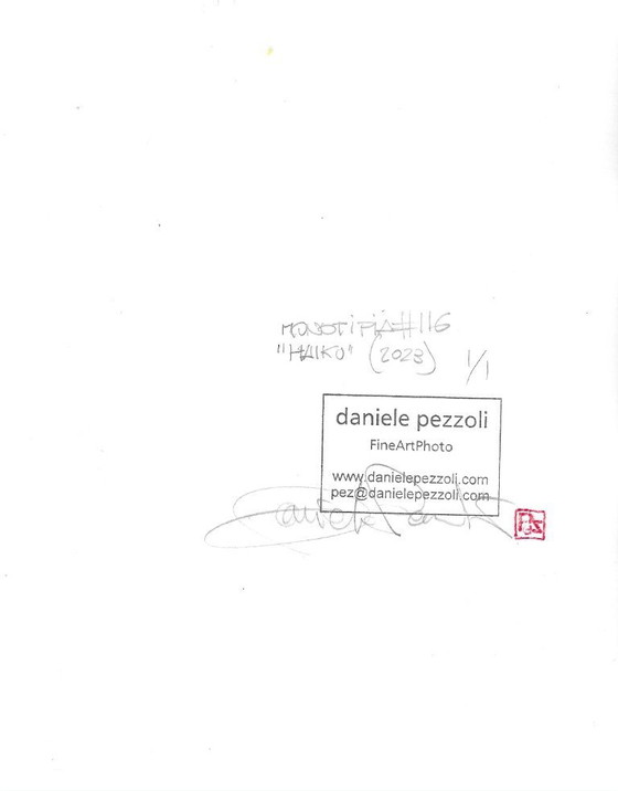 Image 1 of D. Pezzoli - "Haiku"