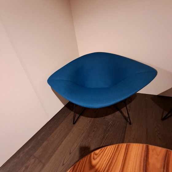 Image 1 of Poltrona relax Knoll Bertoia