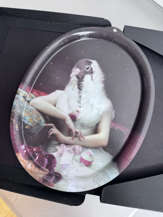 Image 1 of Vassoio Ibride Rosita Blanche Faustine