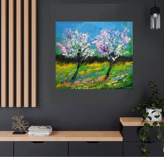 Image 1 of Primavera 8726