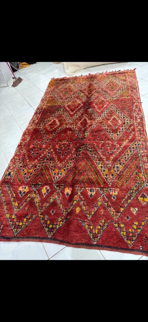 Berbero antico, 80 anni, perfette condizioni