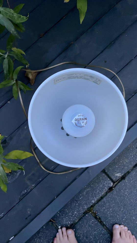 Image 1 of Miss K di Starck