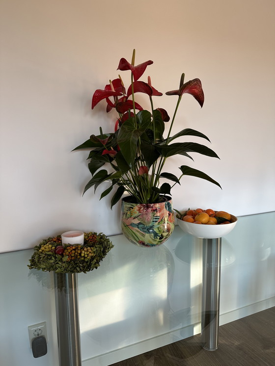 Image 1 of Vintage Minimalist Glass Table With Floating Effect