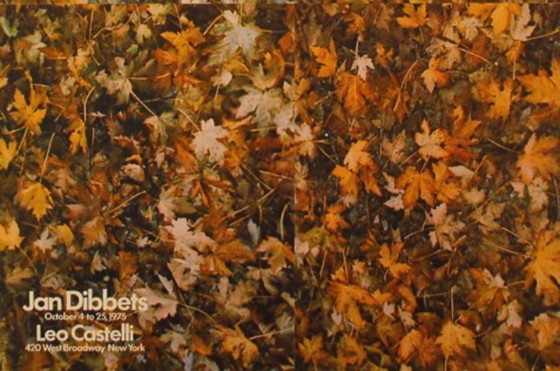 Image 1 of Wim Dibbets-----Mostra Leo Castelli 1973 New York