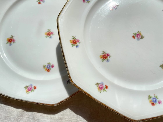 6 platos llanos de porcelana francesa floral LAMOTTE – Loza, Porcelain (photo 7 of 20)